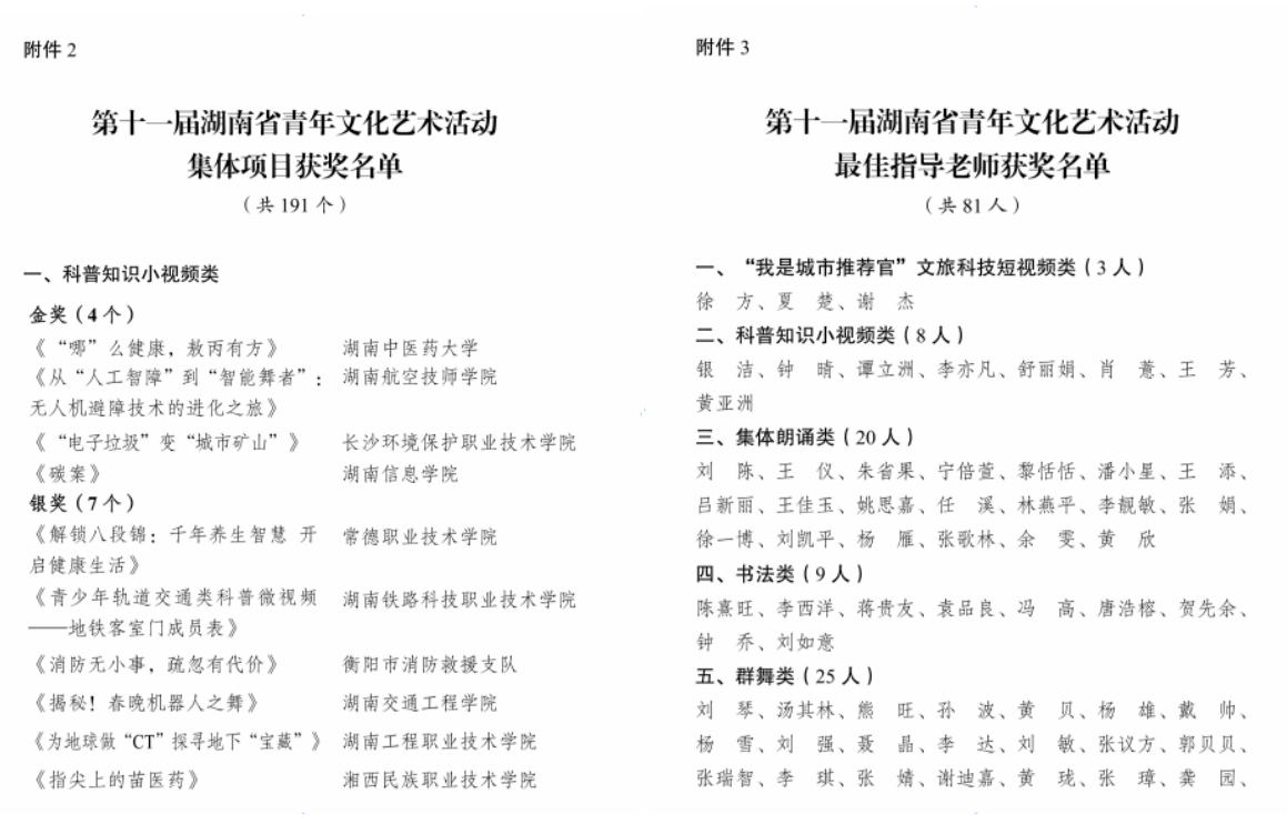 当科技邂逅艺术:学院无人机“智能舞者”项目闪耀省青年文化艺术节,勇夺金奖!