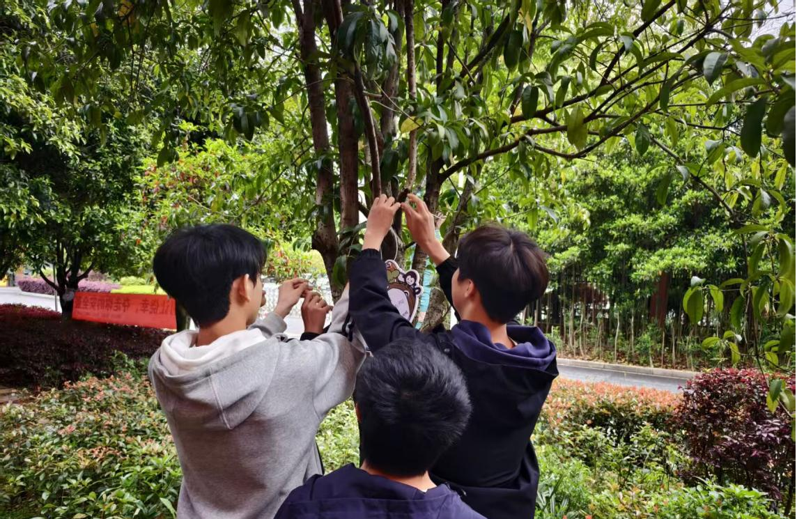 植绿护电・电亮校园——电气工程系开展绿植月度养护 暨感悟分享活动